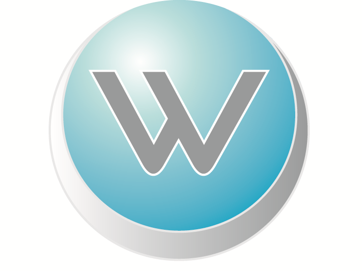 WIDGET - PROFESSIONAL SYSTEMS